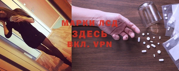 прущие грибы Покров