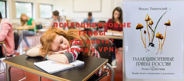 герыч Пестово