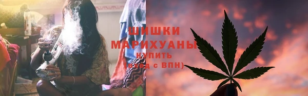 прущие грибы Покров