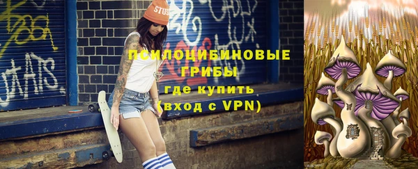 амф Пересвет