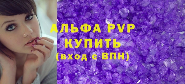 прущие грибы Покров