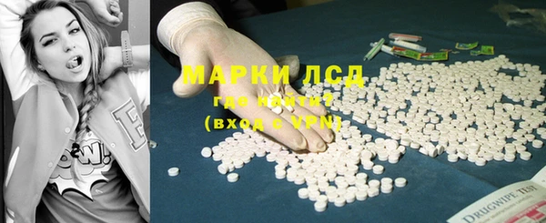 прущие грибы Покров