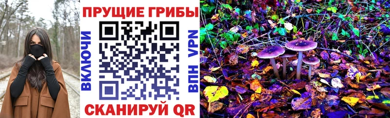 дарк нет какой сайт  Остров  Псилоцибиновые грибы Psilocybine cubensis 
